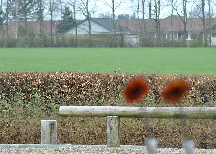 Danhostel Thorhallen 3* Jels